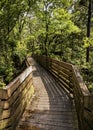 Shadows on a Wooden Staircase into the Forest