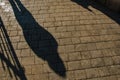 Shadowy Figure Enters Through the Courtyard Gate