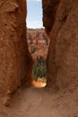 Shadowy Path Between Two Hoodoos Give A Glimse Of The Amphitheater Royalty Free Stock Photo