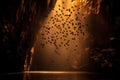 shadowy silhouettes of cave swallows in dim cave light