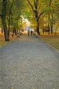 Shady alley of autumn park Royalty Free Stock Photo