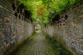 Shady alley between brick walls in flowering spring