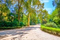The shady alley in Maria Luisa Park in Seville, Spain