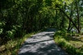 Shady asphalted way in woods of sunny summer afternoon Royalty Free Stock Photo