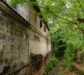 Shady brook outside aged mansion after summer rain