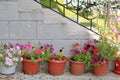 Shady corner of a garden with containers full of colorful flowers