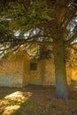 Shady Corner in Semproniano, Tuscany