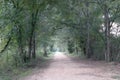 Shady Country Lane Royalty Free Stock Photo