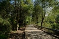 Shady country road with guardrail in woods