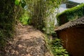 Shady countryside footpath in sunny summer afternoon Royalty Free Stock Photo