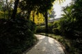 Shady curving path in woods on sunny winter day Royalty Free Stock Photo