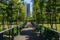 Shady fenced and planked footbridge in verdant city of sunny sum