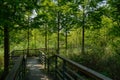 Shady fenced and planked footbridge zigzagging in woods of sunny