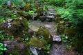 Shady garden pathway with moss covered decorative stones around stone stairs, some fern and other shade loving plants. Royalty Free Stock Photo