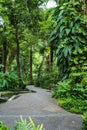 Shady garden pathways