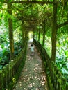 Shady green pathway & a child running through it