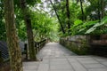 Shady hillside flagstone path with balustrade in summer woods