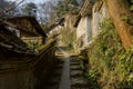 Shady hillside lichen-covered stairway in ancient houses