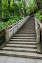 Shady hillside stone stairway witn balustrade in summer woods