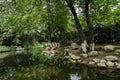 Shady lakeshore in sunny summer Royalty Free Stock Photo