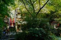 Shady lakeside at Jinli pedestrian street in sunny afternoon