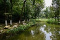 Shady lakeside in sunny summer Royalty Free Stock Photo