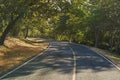 Shady left turn on asphalt road Royalty Free Stock Photo