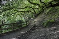 Shady path at Burrs Country Park, Bury Royalty Free Stock Photo