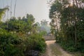 Shady path before farmhouses in sunny spring morning Royalty Free Stock Photo