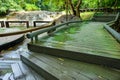 Shady path with Mae Sa waterfall in Chiang Mai province