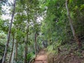 View along the path to Tad Mork waterfall in Chiang Mai province.