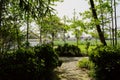 Shady path in village in sunny spring