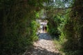 Shady path for walking along Canal D`amour. Corfu island, Greece