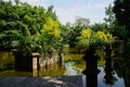 Shady planked path at pond in verdant city of sunny summer