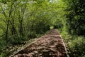 Shady red-painted path dappled with sunlight in summer afternoon Royalty Free Stock Photo