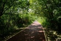 Shady red-painted way in sunny summer afternoon Royalty Free Stock Photo