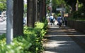 Street at sunny day