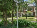 Shady sidewalk on a tree-lined street Royalty Free Stock Photo