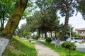 Shady street of Arkhipo-Osipovka village with beautiful old pines and modern cars. Tranquil Black Sea resort in Krasnodar territor Royalty Free Stock Photo