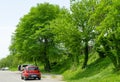 Shady street of Arkhipo-Osipovka village with beautiful old pines and modern cars. Tranquil Black Sea resort in Krasnodar territor Royalty Free Stock Photo