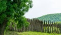 Shady street of Arkhipo-Osipovka village with wooden palisade of Museum complex Mikhailovskoe fortification. Tranquil Black Sea re Royalty Free Stock Photo