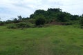 A shady tree on a green meadow on a mountain slope