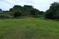 A shady tree on a green meadow on a mountain slope