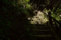 Shady uphill stairway before Chinese character inscribed on rock,happiness