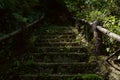 Shady uphill stairway in old town