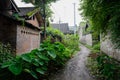 Shady verdant alleyway in ancient Chinese dwelling houses