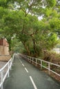 Shady walkway with fresh green trees and steel rail for background Royalty Free Stock Photo