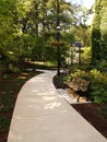 Shady walkway and park bench