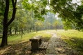 Shady wayside stone bench on sunny day