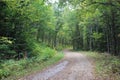 A shady woodland path through the forest in Wentworth Nova Scotia on a warm autumn day Royalty Free Stock Photo